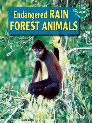 cover image of Endangered Rain Forest Animals